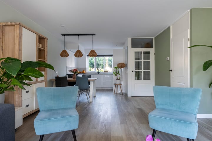 Foto 6 van Drieteenspecht 6