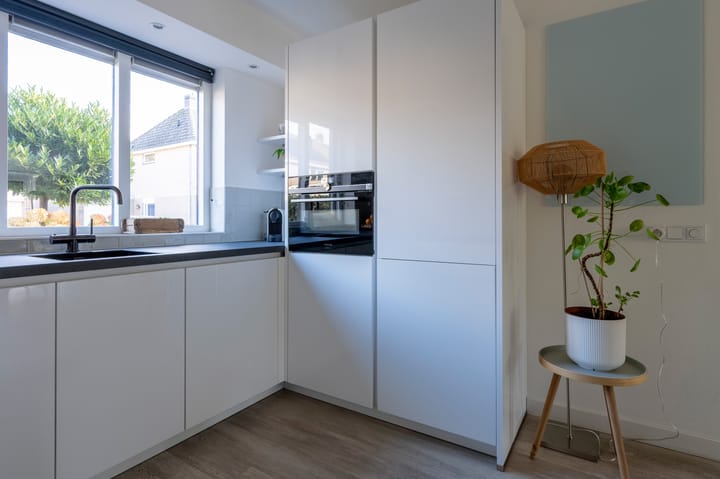 Foto 9 van Drieteenspecht 6