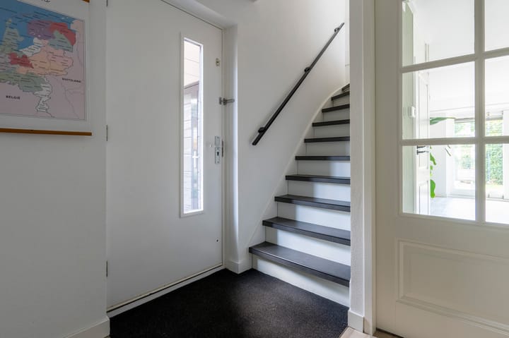 Foto 11 van Drieteenspecht 6