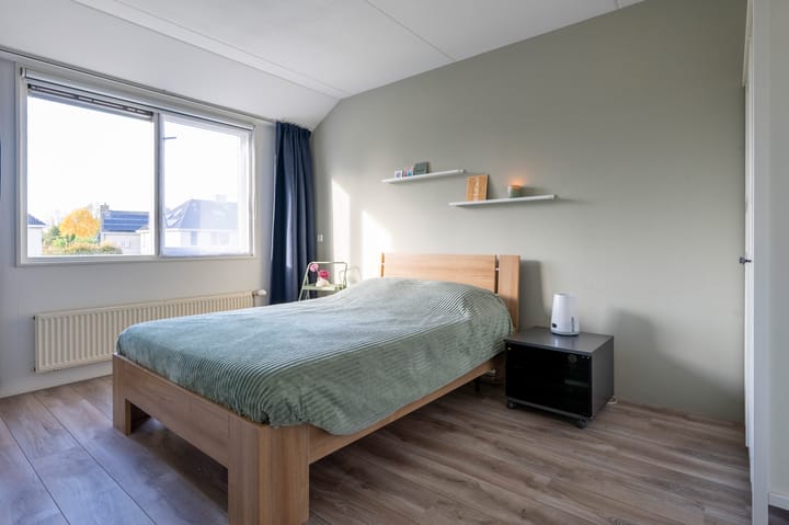 Foto 14 van Drieteenspecht 6