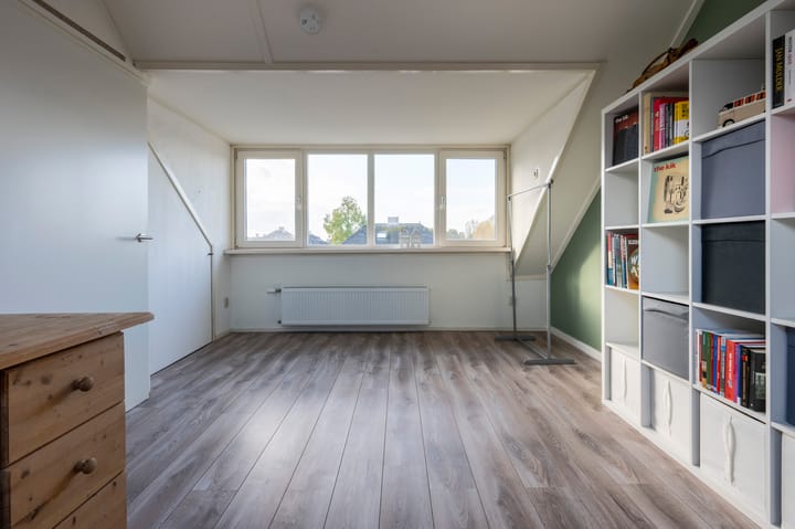 Foto 20 van Drieteenspecht 6