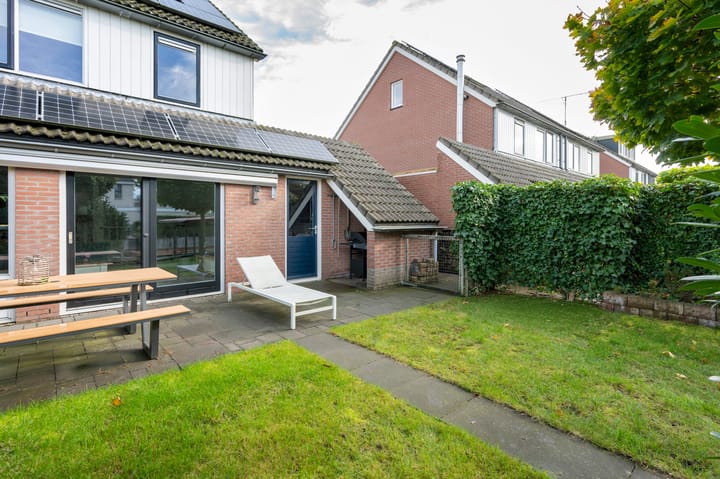 Foto 21 van Drieteenspecht 6