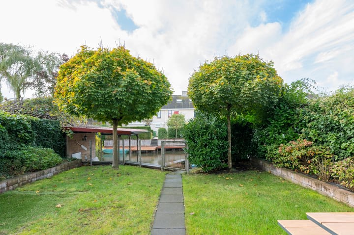 Foto 23 van Drieteenspecht 6