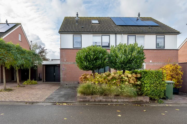 Foto 29 van Drieteenspecht 6