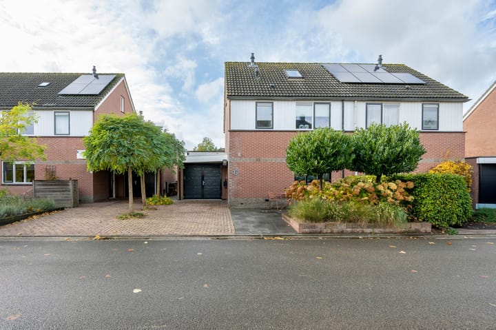 Foto 30 van Drieteenspecht 6