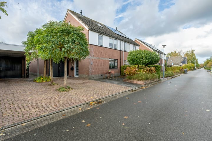 Foto 31 van Drieteenspecht 6