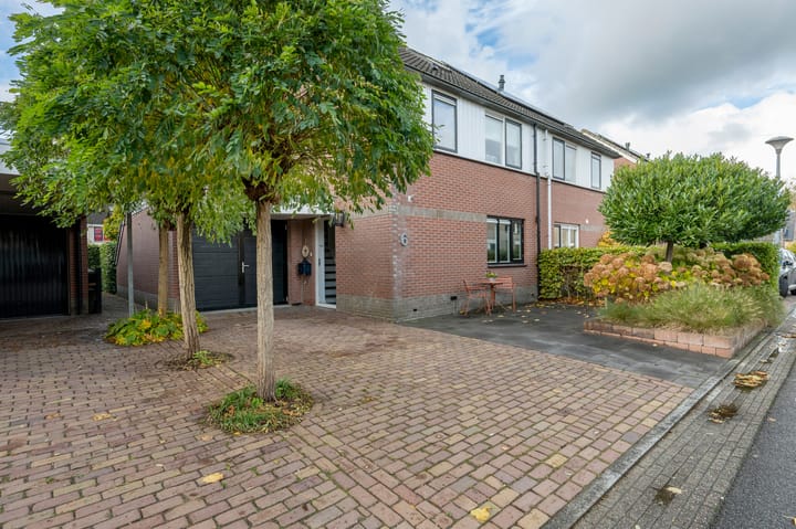 Foto 32 van Drieteenspecht 6