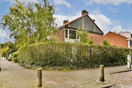 undefined main image