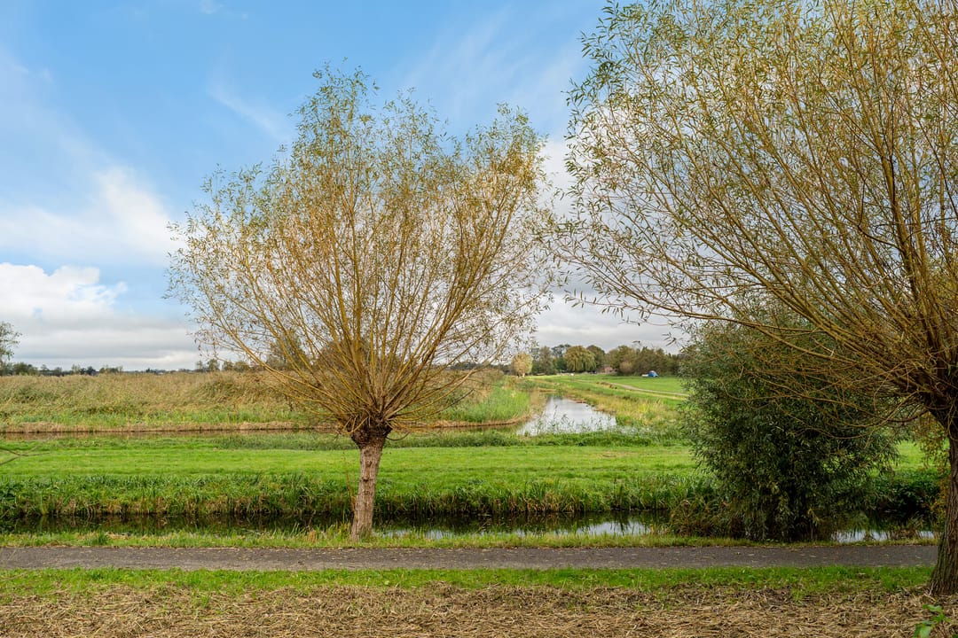 Foto 46 van Roos Vosstraat 15