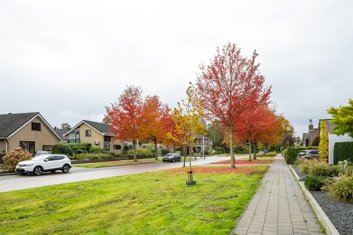 Foto 6 van Frans Halsstraat 2-I