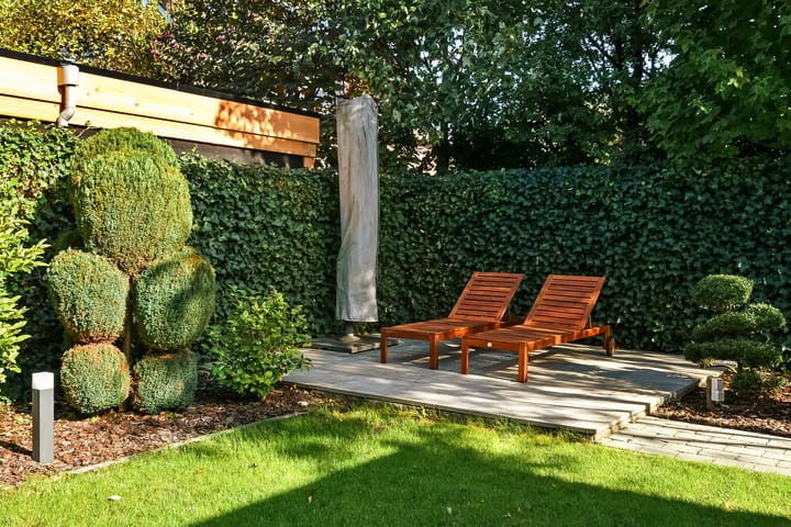 Foto 48 van Aureus 80