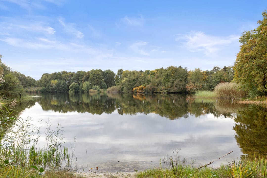 Photo 37 of Irenelaan 20