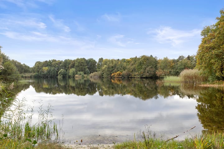 Foto 37 van Irenelaan 20