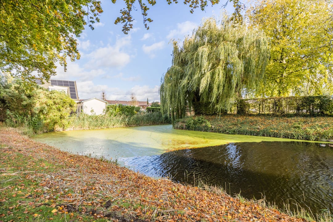 Foto 53 van Hazebrouckstraat 18