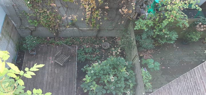 Photo 14 of Roelof Hartplein 15-H