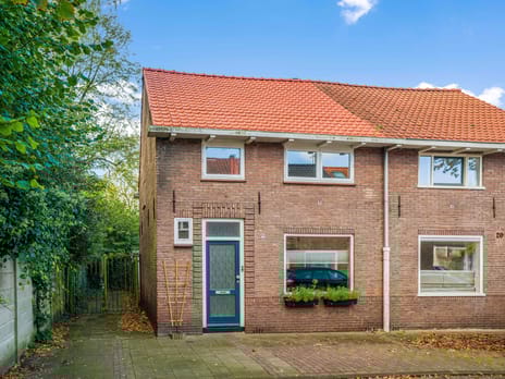 Mimosastraat thumbnail