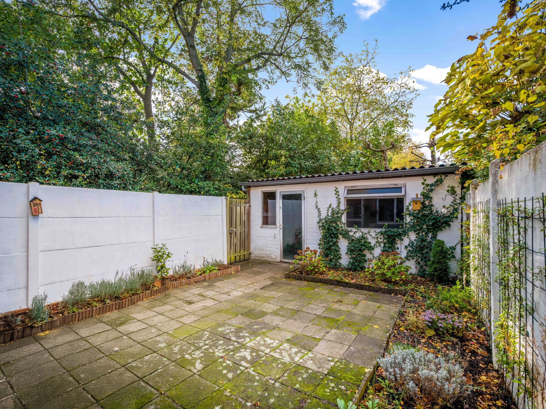 Foto 21 van Mimosastraat 22