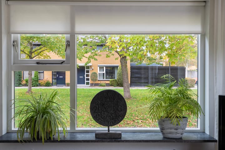 Foto 8 van Meistraat 53