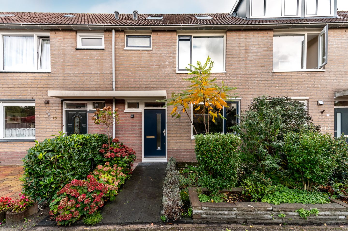 Foto 4 van Veenmospad 8