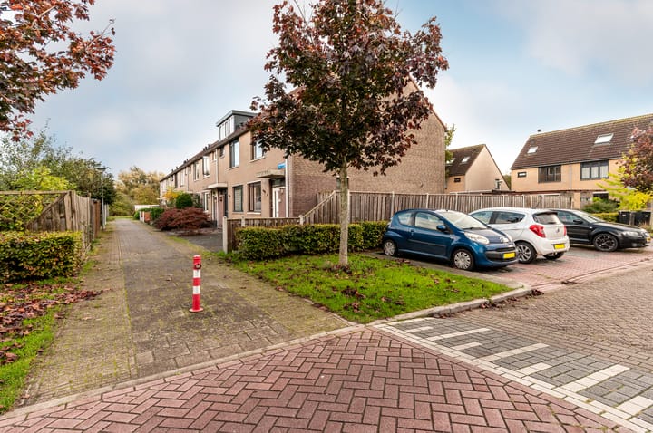 Foto 43 van Veenmospad 8