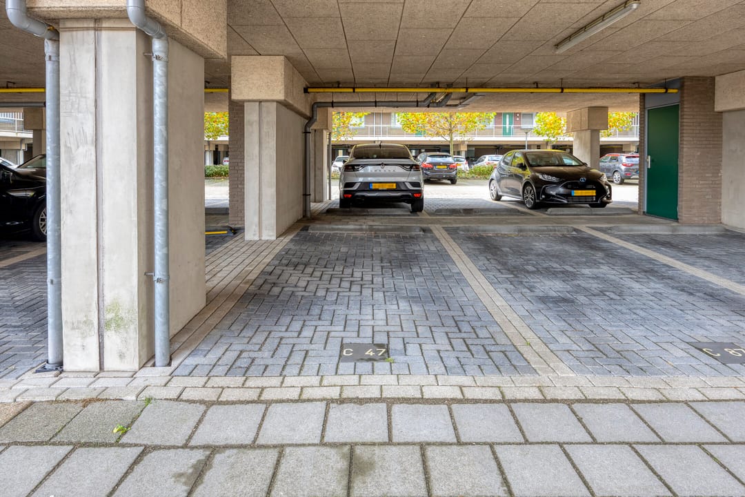 Photo 2 of Vossenzoom 47