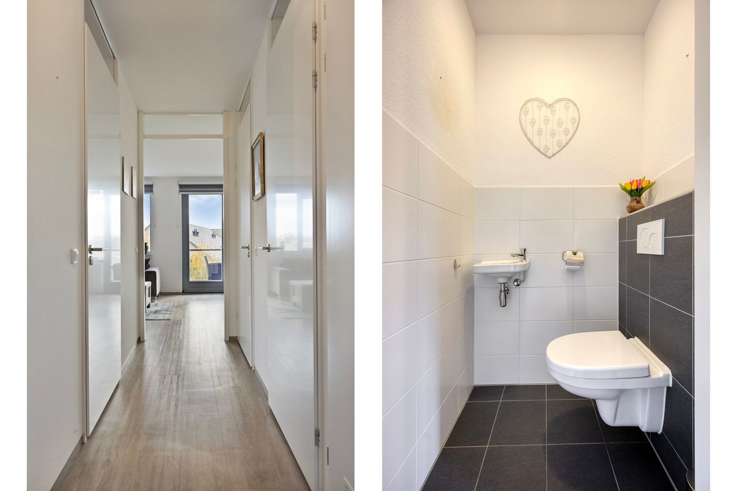 Photo 14 of Vossenzoom 47