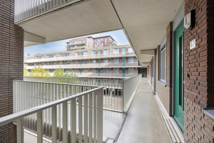 Photo 22 of Vossenzoom 47