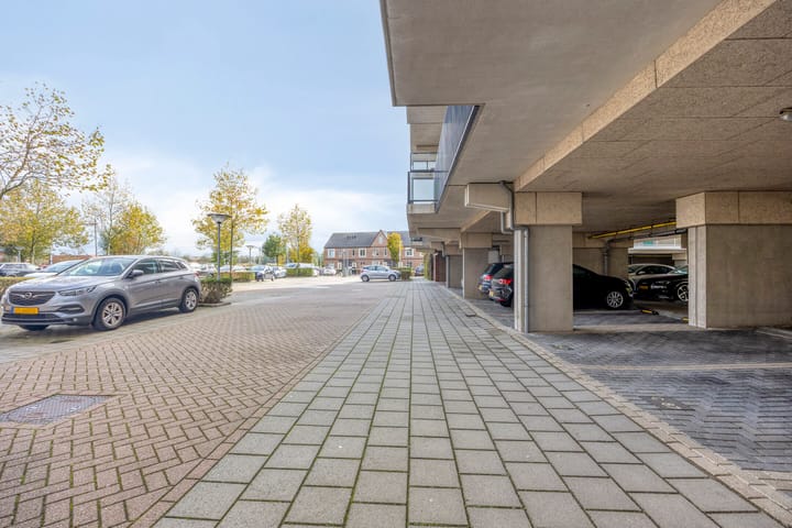 Photo 26 of Vossenzoom 47