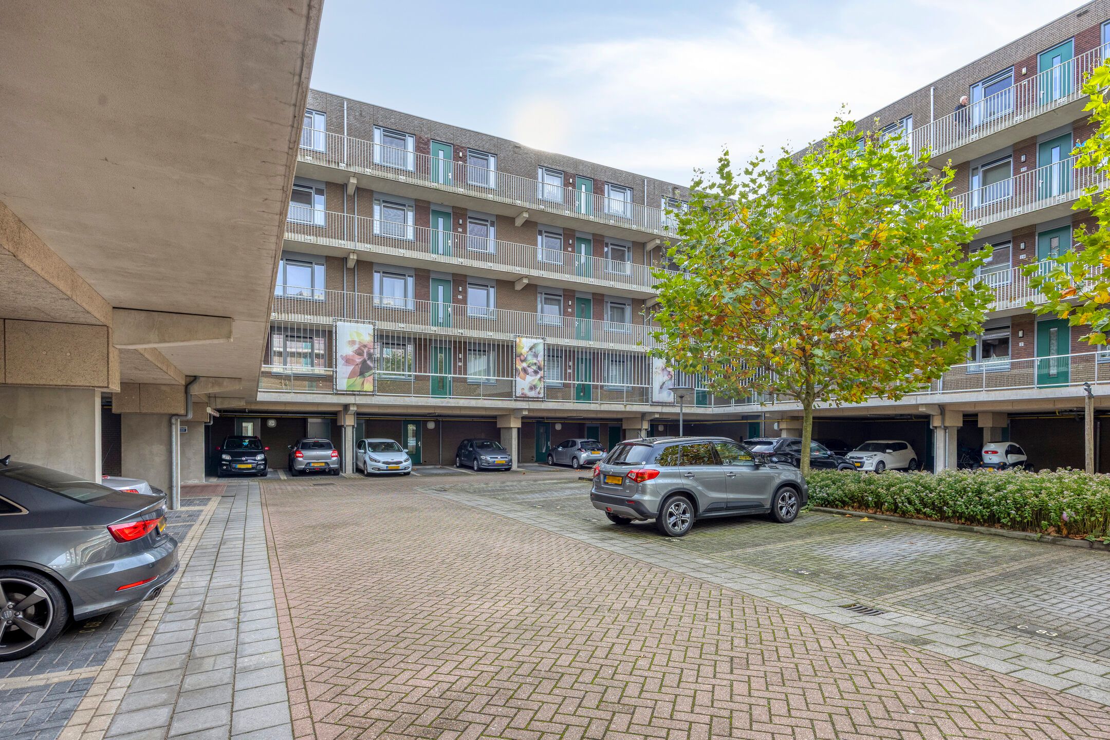 Photo 27 of Vossenzoom 47