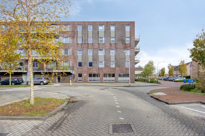 Photo 29 of Vossenzoom 47