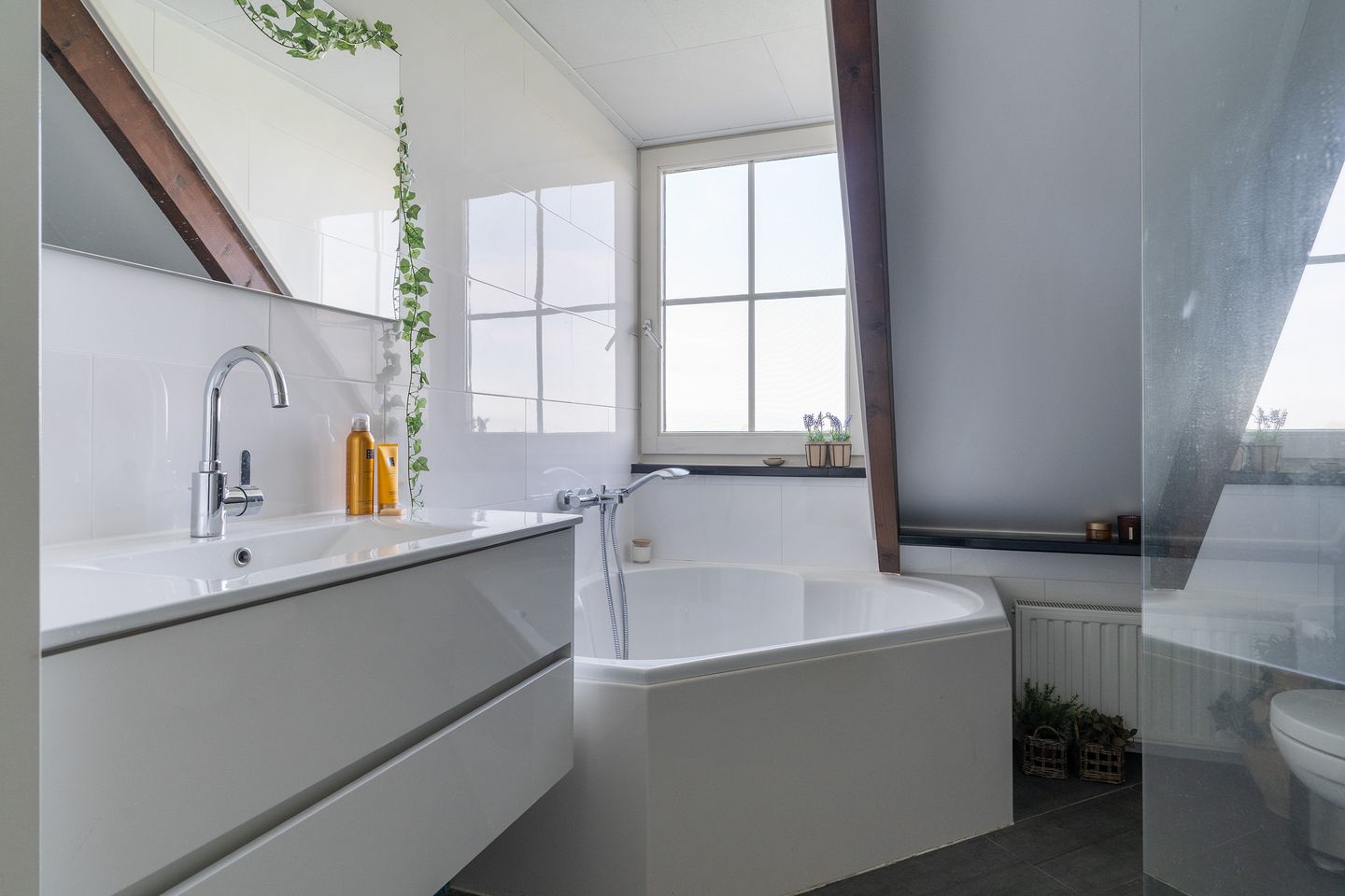 Photo 34 of Wartenterp 3