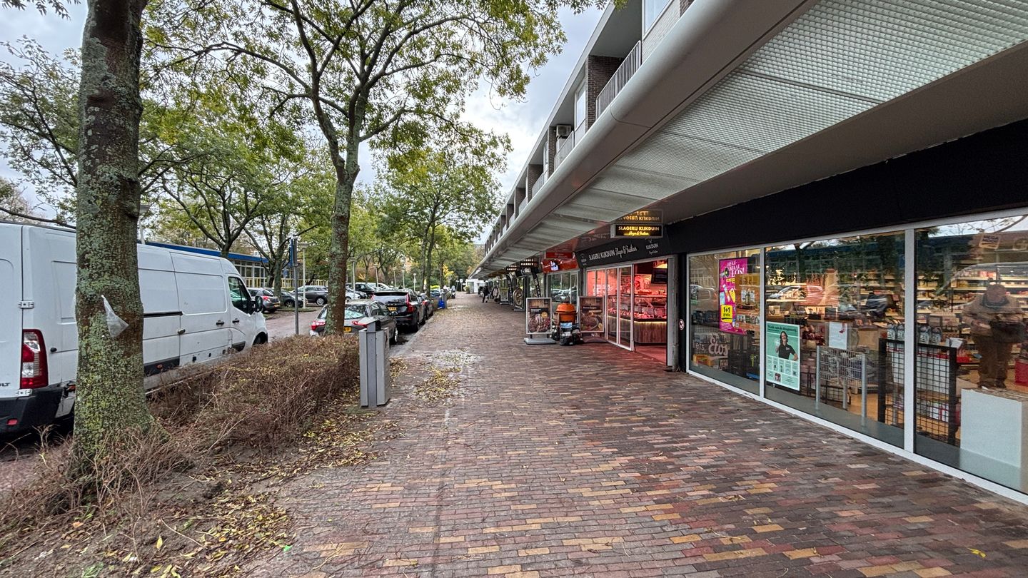 Foto 59 van Louis Davidsstraat 145