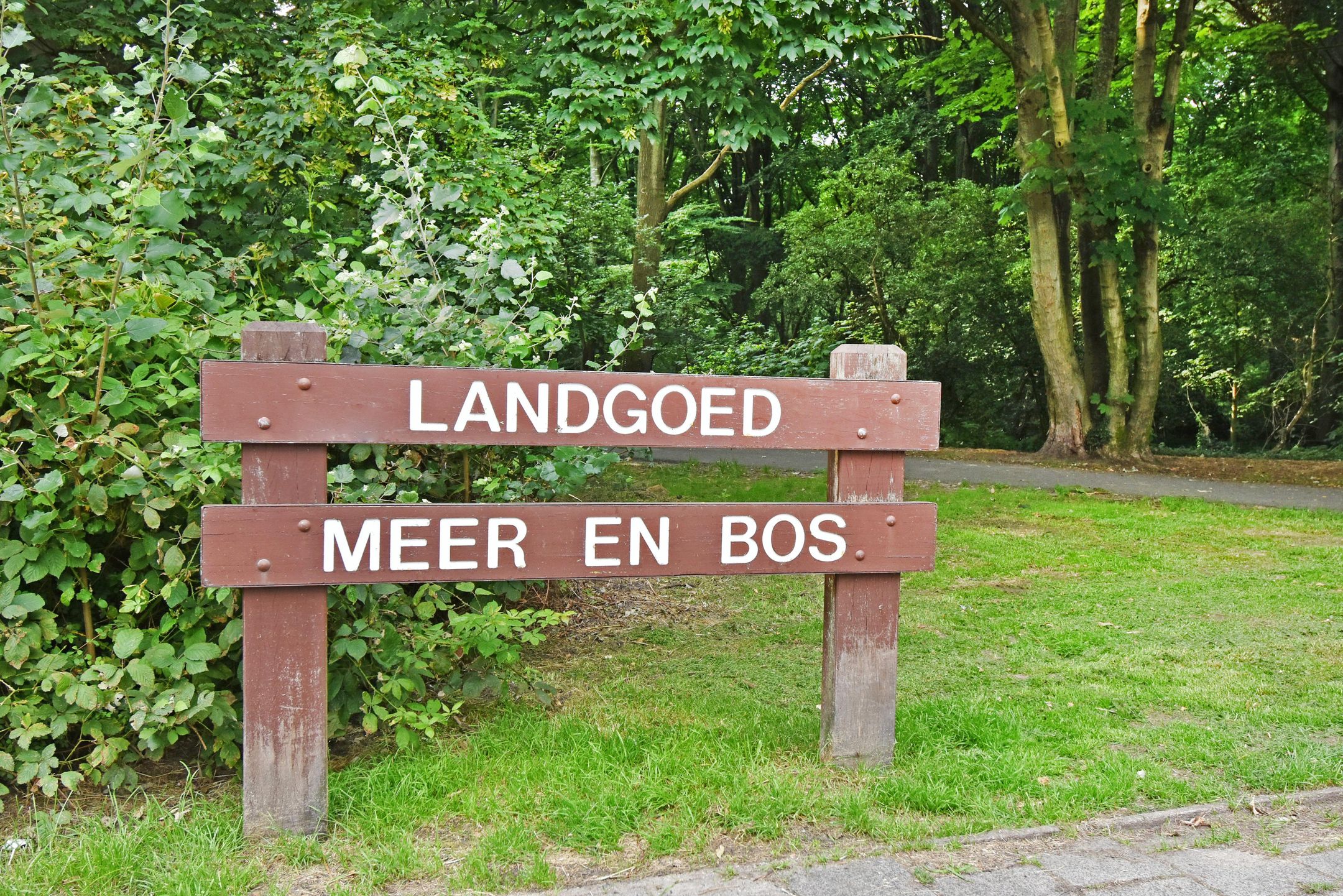 Foto 63 van Louis Davidsstraat 145