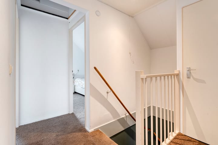 Foto 19 van Citroenvlinder 24