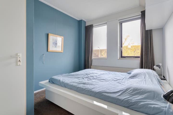 Foto 21 van Citroenvlinder 24