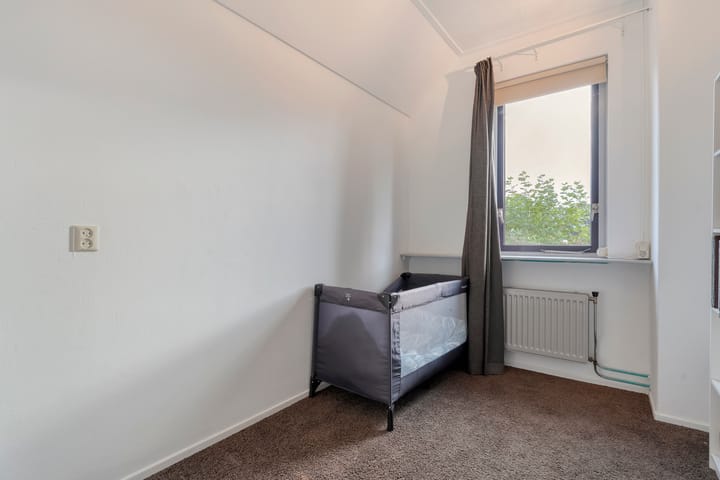 Foto 23 van Citroenvlinder 24