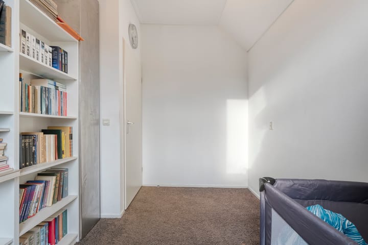 Foto 24 van Citroenvlinder 24