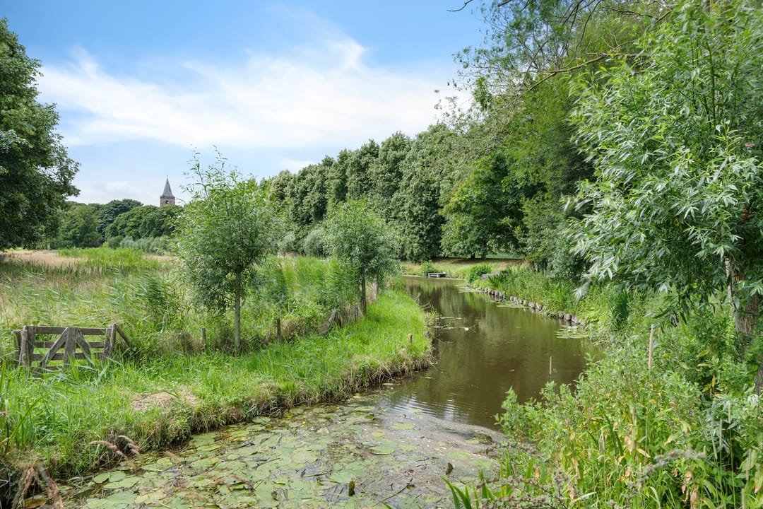 Foto 38 van Bernhardlaan 50