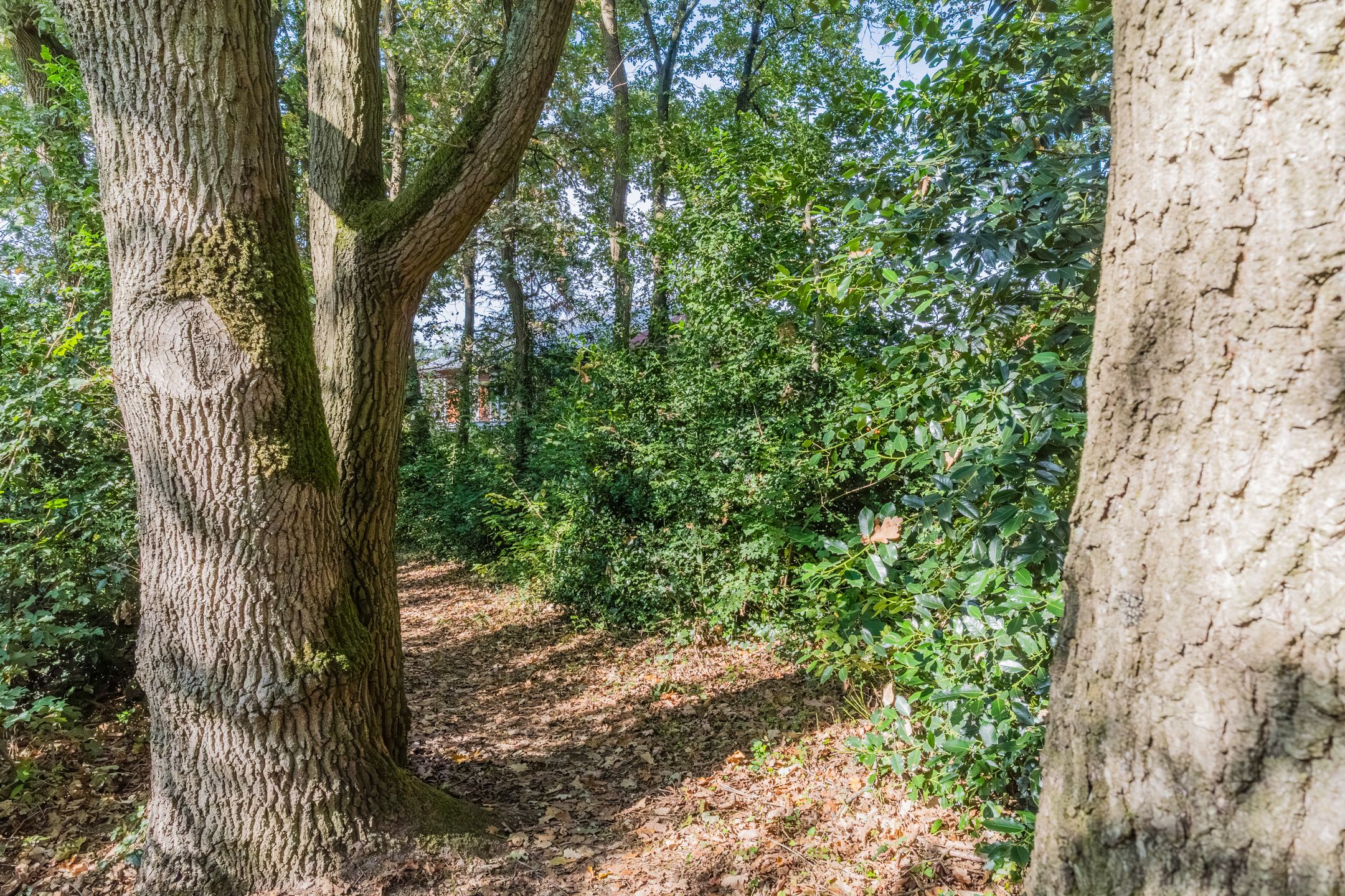 Foto 39 van Eikenberg 34