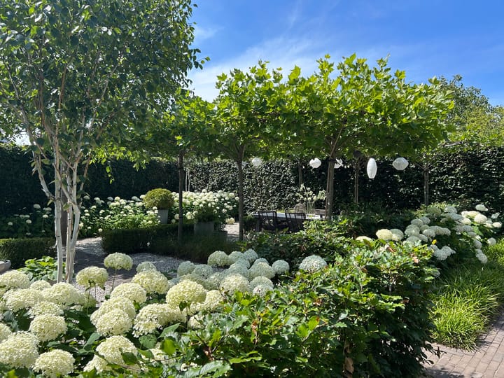 Foto 44 van Kalverstraat 5