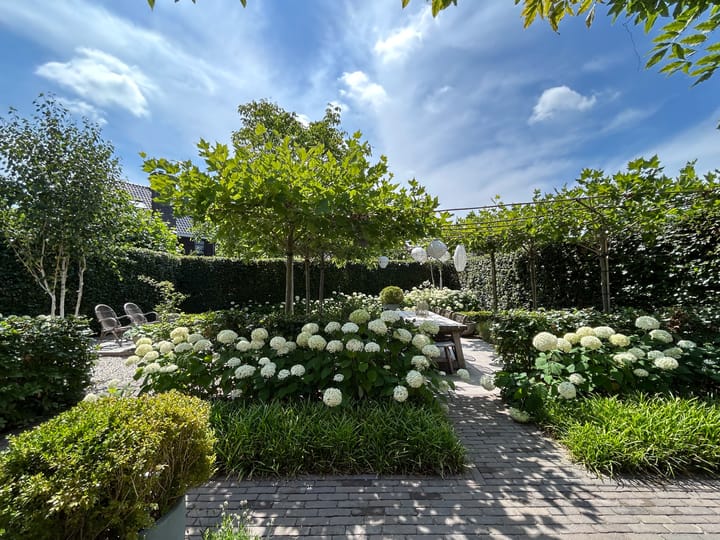 Foto 50 van Kalverstraat 5