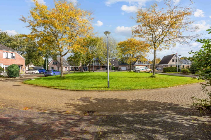 Foto 5 van Weegbree 17