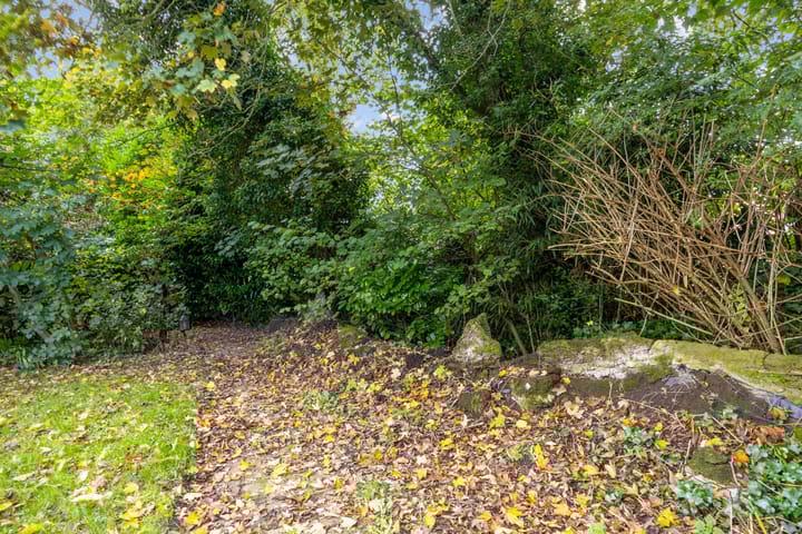 Foto 27 van Weegbree 17