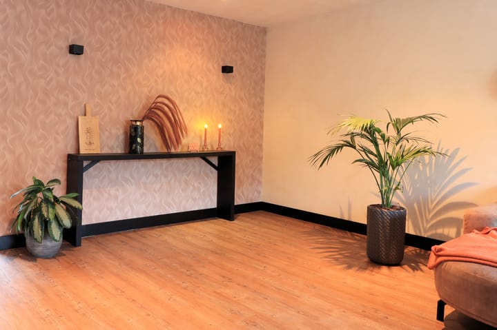 Photo 9 of Noordzoom 16