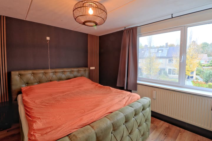 Photo 18 of Noordzoom 16