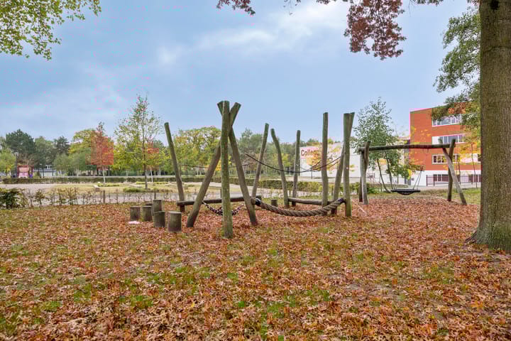 Foto 28 van Schepenhoek 215