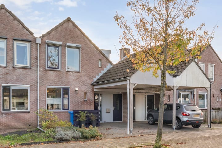 Foto 4 van Citroenvlinder 24