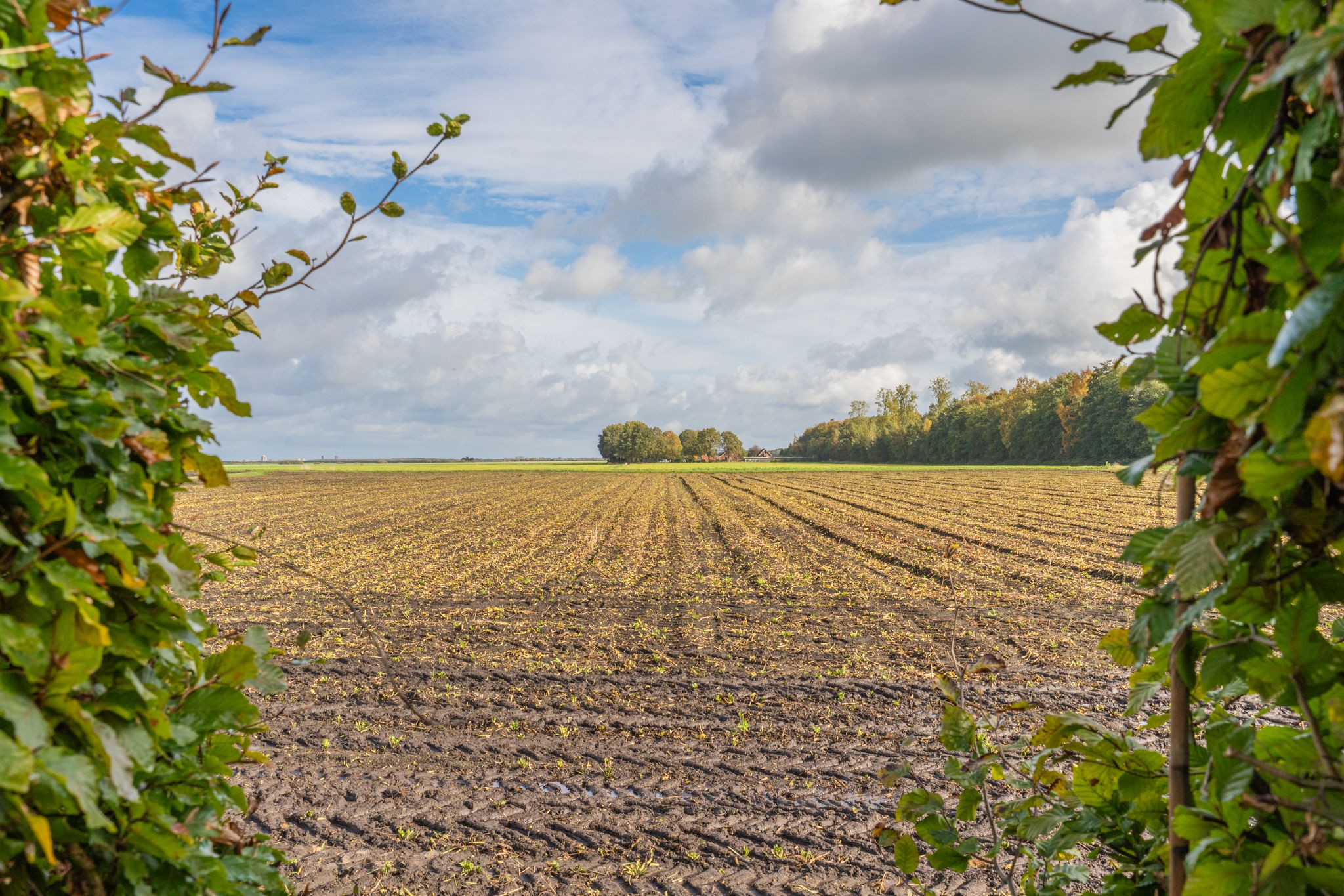 Photo 3 of Noorderstraat 10-G
