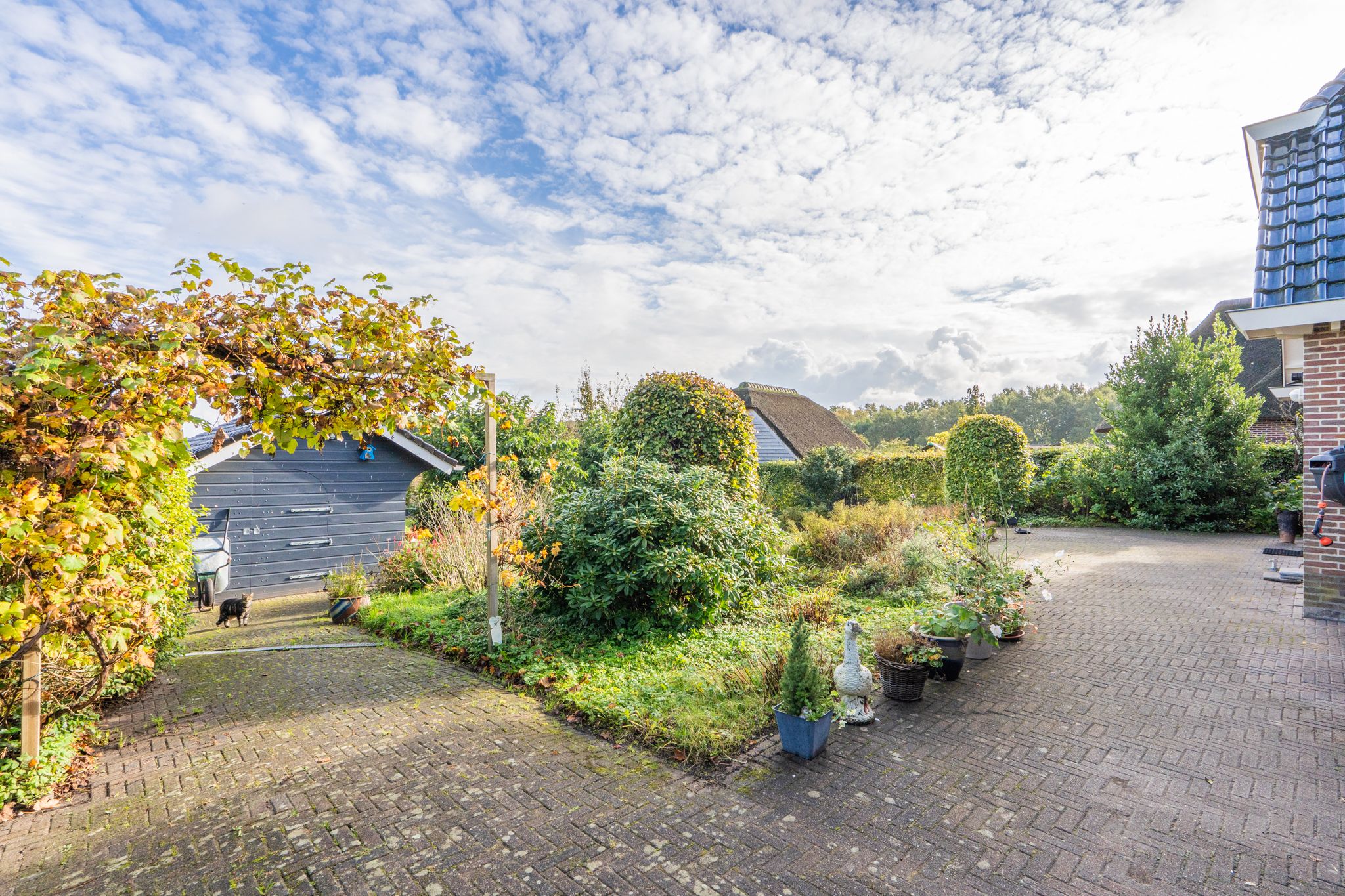 Photo 51 of Noorderstraat 10-G