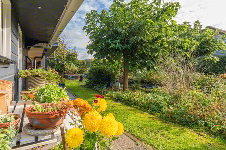 Foto 55 van Noorderstraat 10-G